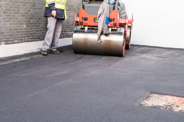 Best Driveway Border and Edging  in Moore Haven, FL